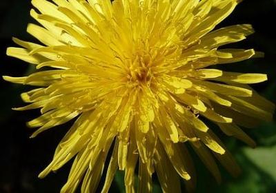 看清自己的经典语录(精选70句)