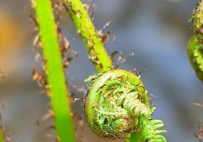 男人四十经典语录(合集80句)