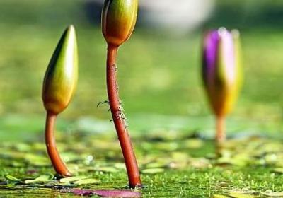 瑜伽经典语录(合集39句)