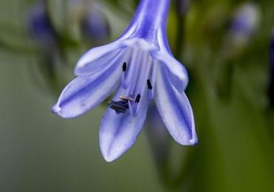 父女情深的经典语录(60句)