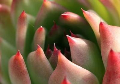 绿茵场经典语录(必备40句)