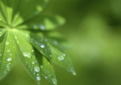 米老鼠经典语录(推荐60句)