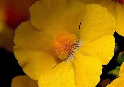 经典语录感情(合集20句)