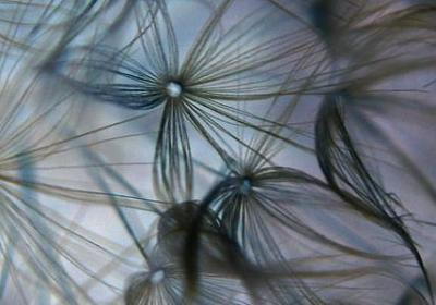 胡歌经典语录(70句)