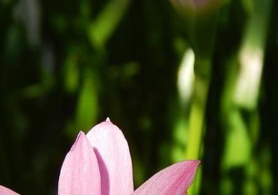 纯银耳坠经典语录(必备60句)