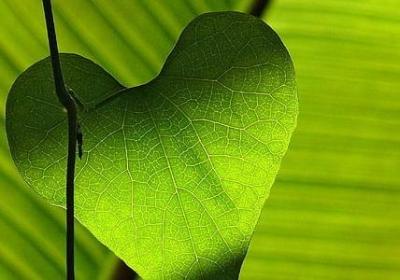 窦唯经典语录(合集50句)