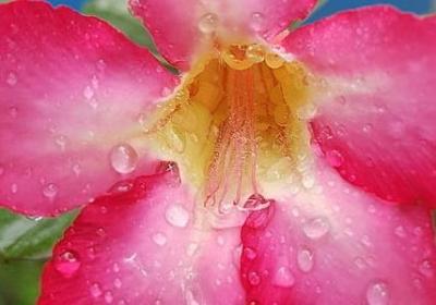 祈祷的句子经典语录(共50句)