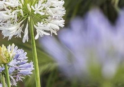 经典语录网(精选20句)