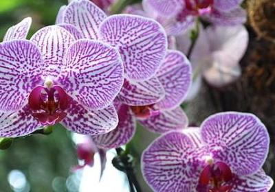 积口德经典语录(合集20句)