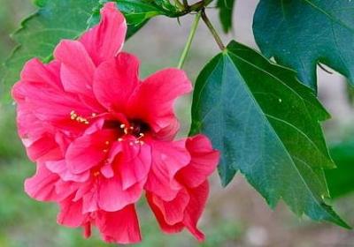 离婚告别经典语录(共70句)