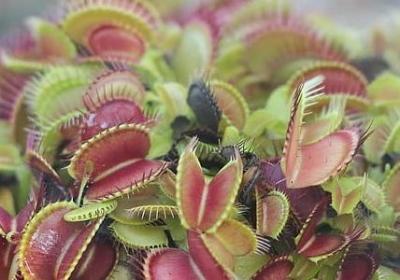 经典语录霸气(优选60句)