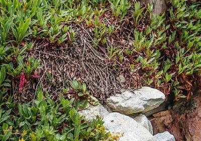 祝福女人的话经典语录(70句)