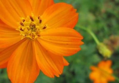 米拉日巴尊者经典语录(通用80句)