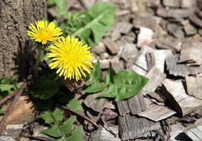 紫霞的经典语录(通用60句)