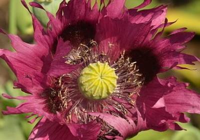 第一次亲密接触经典语录(推荐80句)