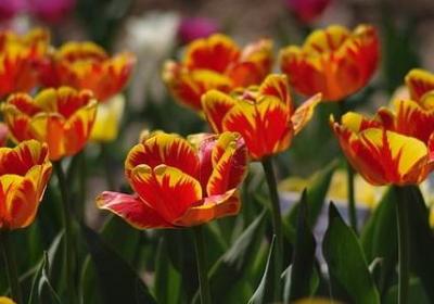 绝命毒师经典语录(热门83句)