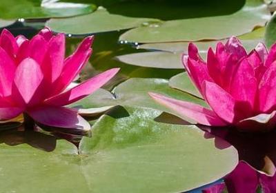 纪梵希经典语录(共80句)