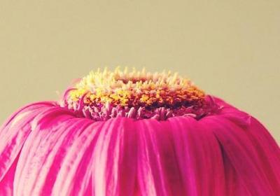 美丽人生经典语录(推荐50句)