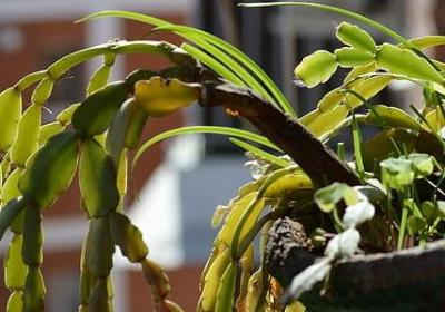 舌尖上的中国经典语录(优选50句)