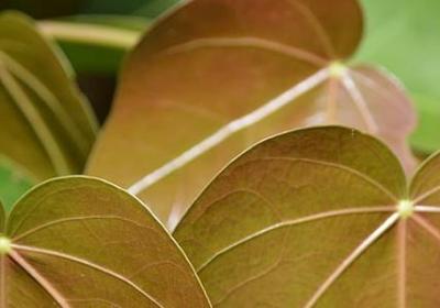 耐得住寂寞的经典语录(共40句)