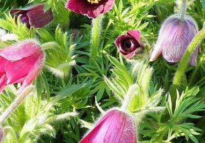 自己亦是风景经典语录(热门60句)