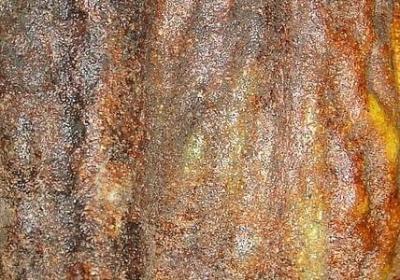 罗斯经典语录(通用20句)