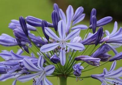 稻盛和夫活法经典语录(共10句)