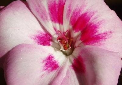 罗荫国经典语录(合集20句)