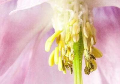 立夏经典语录(实用20句)