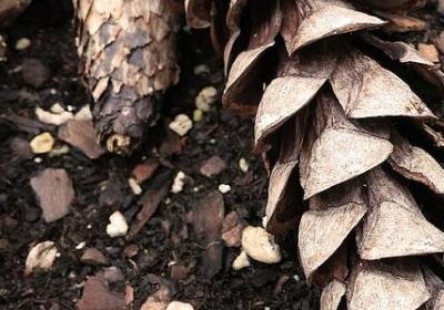 自己选的路经典语录(热门40句)