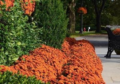 经典语录网站(推荐80句)