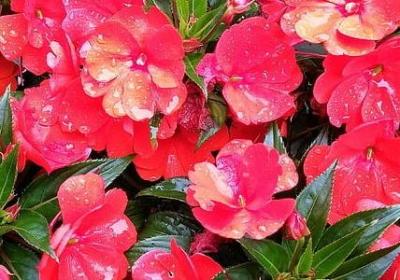 老师上课经典语录(实用60句)