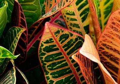 终结的炽天使经典语录(热门50句)