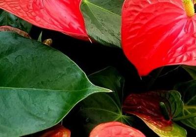 职场法则经典语录(优选60句)