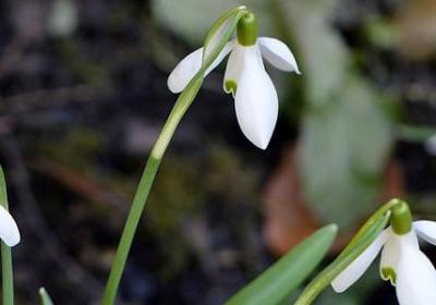 网络短句子经典语录(实用40句)