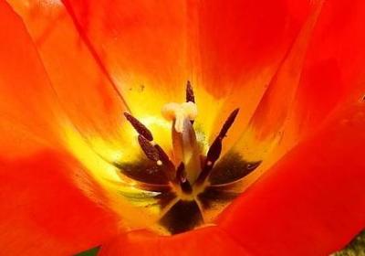 股市经典语录(实用40句)