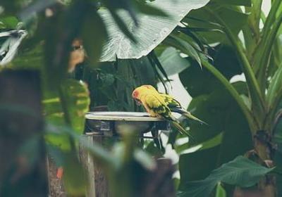 终极一班经典语录(汇总20句)