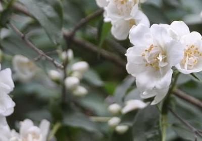 经典语录 伤感(精选68句)