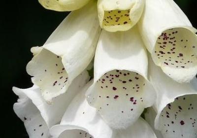 背影经典语录(通用20句)