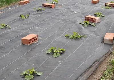 罪恶感的经典语录(合集50句)