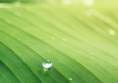 福尔摩斯的经典语录(推荐40句)