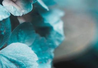 胡兰成经典语录(通用20句)