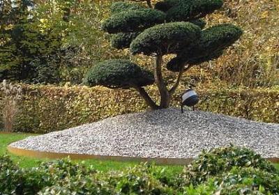 舞舞舞经典语录(合集40句)