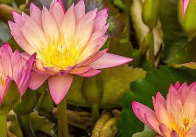 肖生克的救赎经典语录(合集50句)