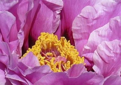 结束的句子经典语录(精选40句)