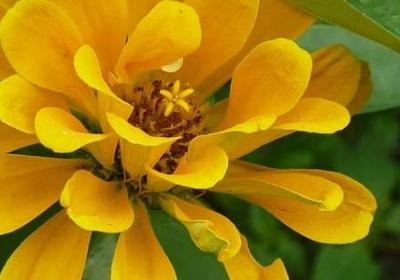 纪伯伦经典语录你们的儿女(热门40句)