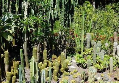 缘散缘尽的经典语录(汇总57句)