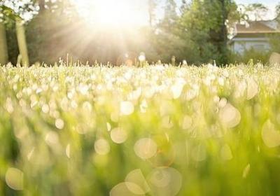 胖虎经典语录(必备20句)