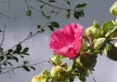 经典语录段子(必备72句)