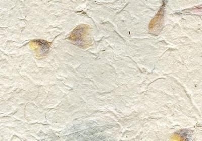 经营婚姻的经典语录(汇总60句)